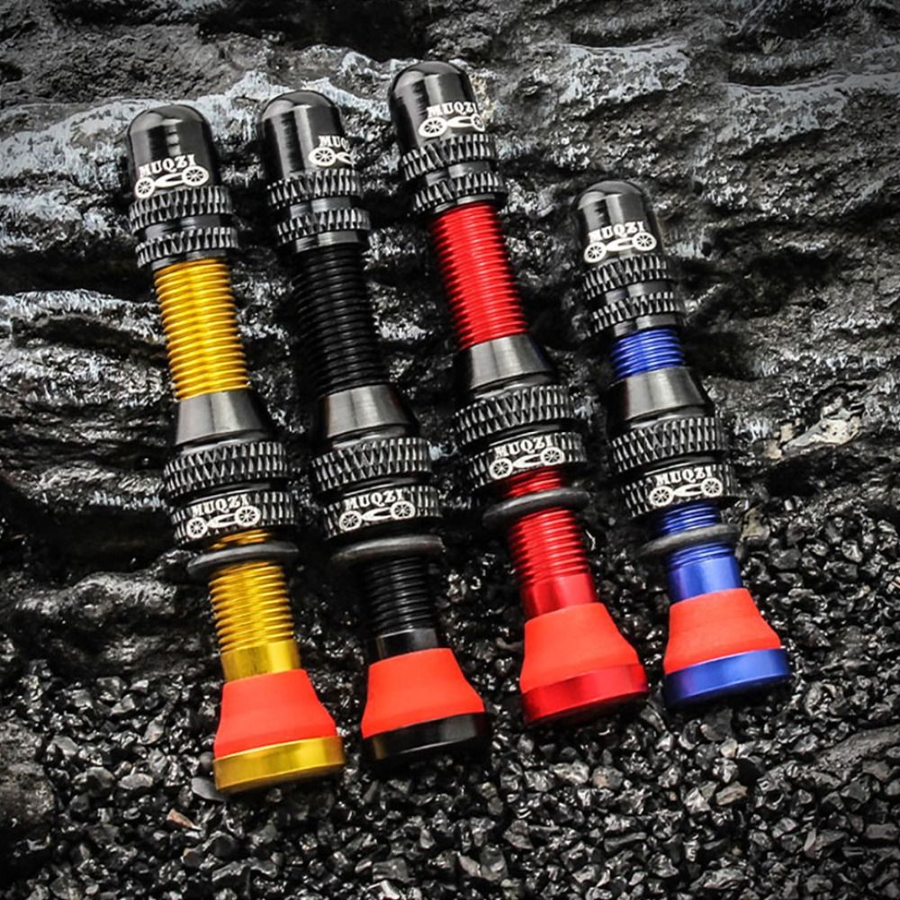 Valve Schrader de vélo en alli - Spoke Nipple Brass avis et prix