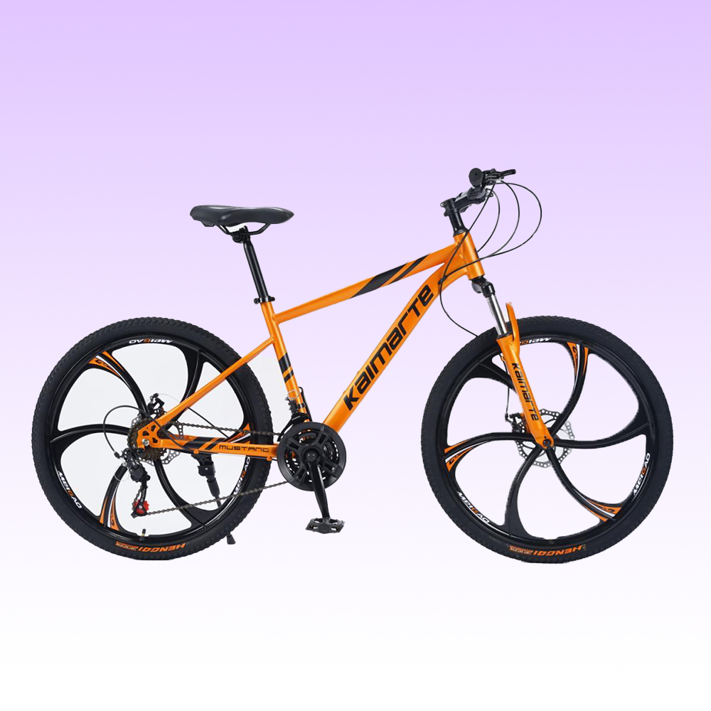 Vélo de montagne OEM personnal - Mountain Biking Europe avis et prix