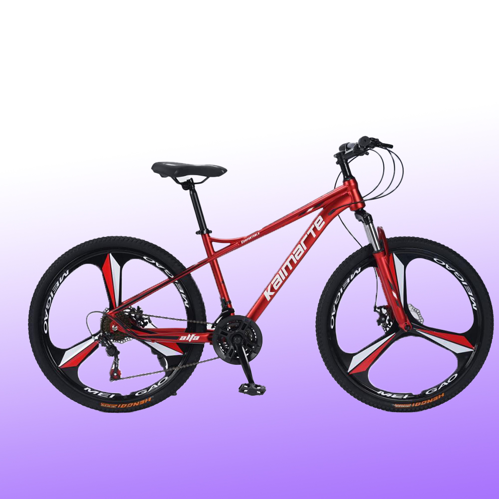 Vélo de montagne OEM personnal - Mountain Biking Europe avis et prix